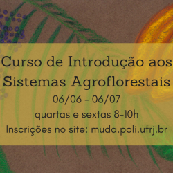 Curso de Introdução aos Sistemas Agroflorestais